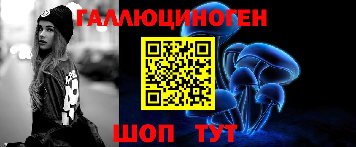 Псилоцибиновые грибы прущие грибы Северобайкальск